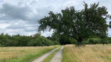 Auschnitt eines Bauplanes