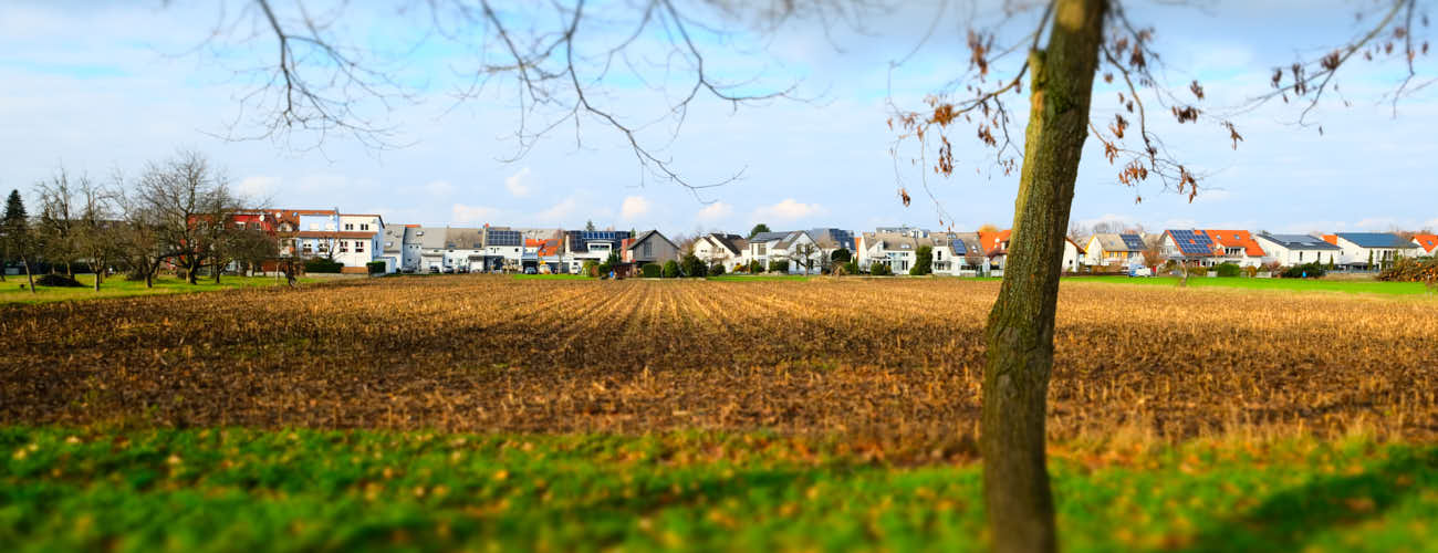Feld und im Hintergrund Häuser in Bischweier